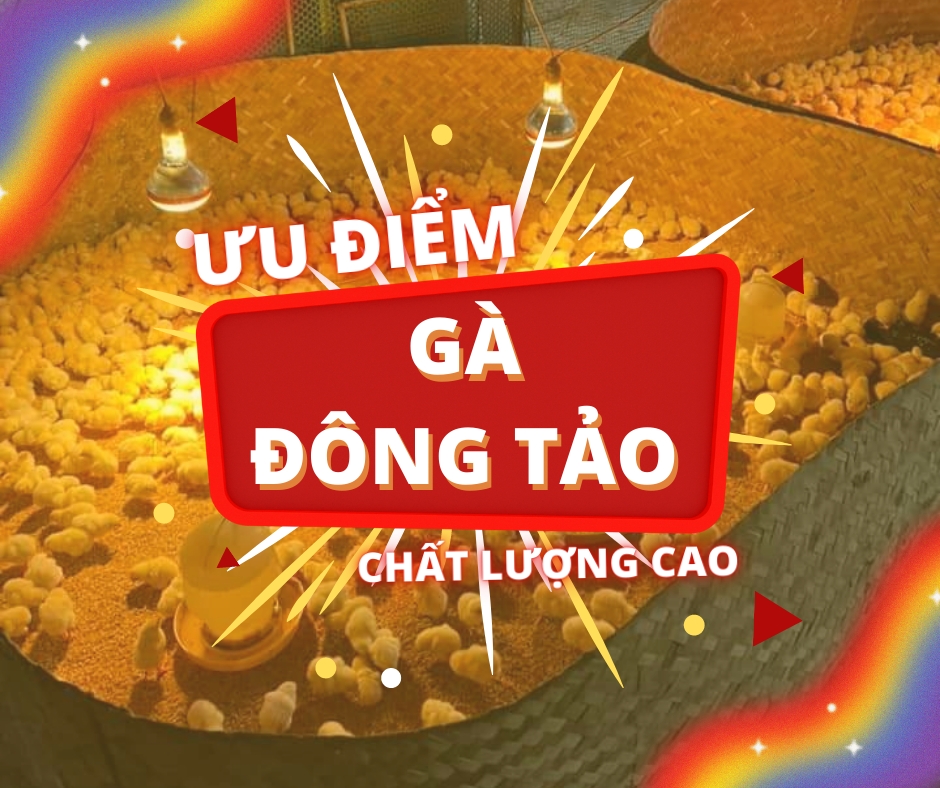 Ưu điểm vượt trội.png