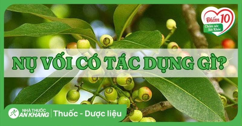 nụ vối.jpg