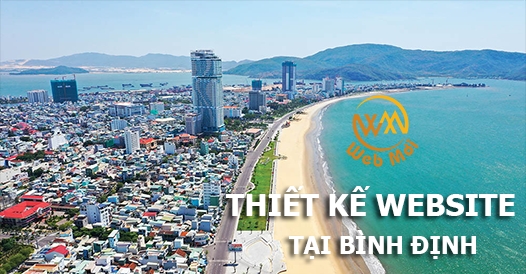 thiet-ke-website-tai-binh-dinh.png
