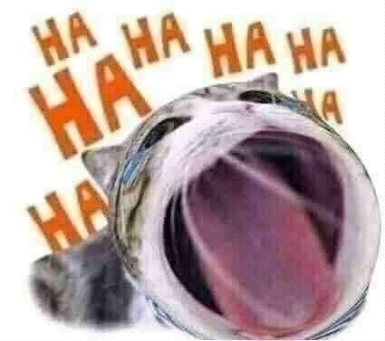 received_1084219132482748.jpeg