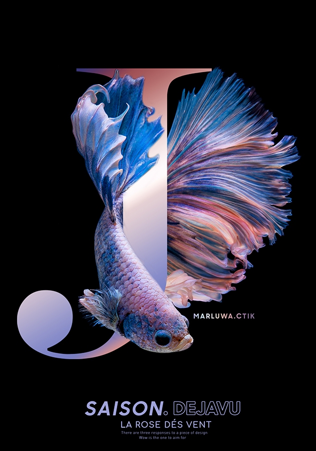 b&igrave;a fish.jpg