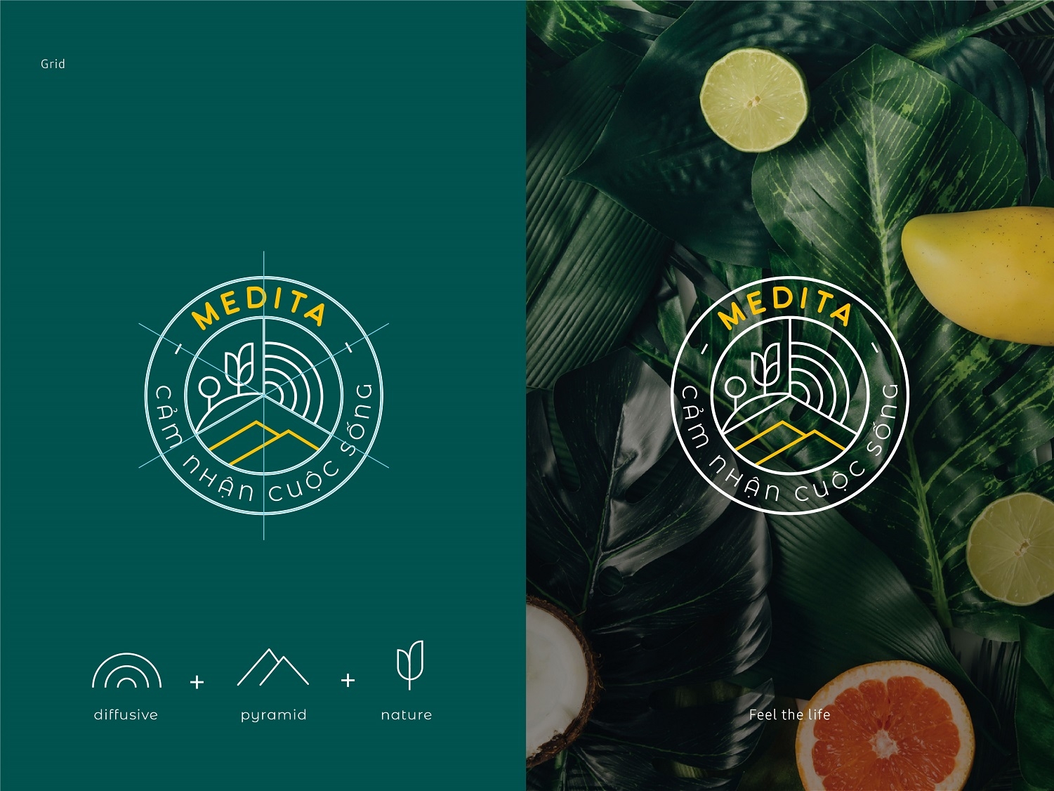 Dribbble-06.jpg