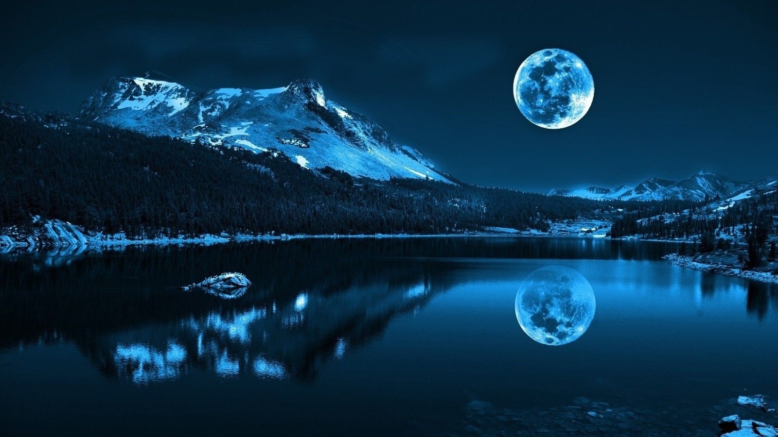 1140736.jpg