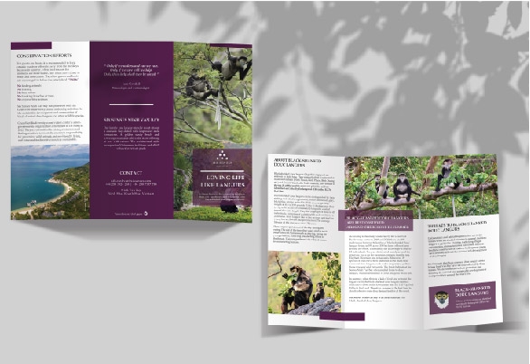 lovinglive brochure clt.jpg