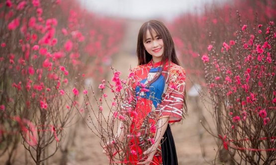 con-bao-lau-nua-den-tet-2020-555x333.jpg