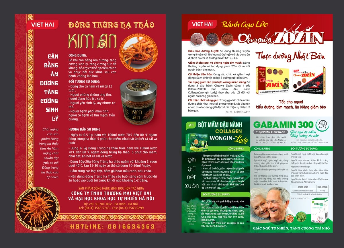 VietHai-Flyer-v4-03.jpg