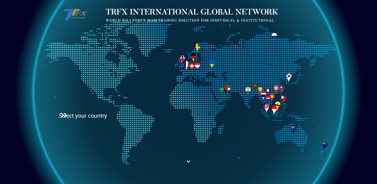 screencapture-dev-trfxinternational-2020-06-04-11_36_51.png