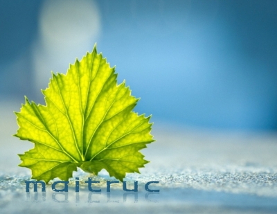 8332e69f-5ed8-4c09-8b15-5a0f6e8a2da4.png