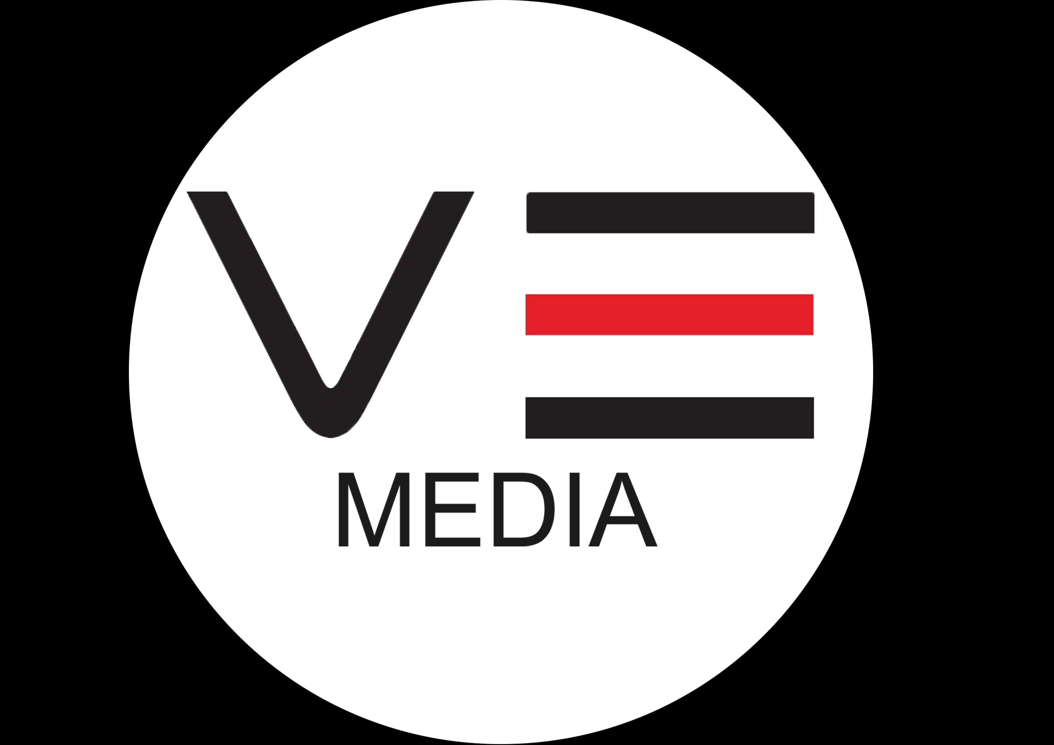 Logo VE  tr&ograve;n.png