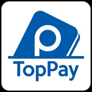 vi-dien-tu-toppay.jpg