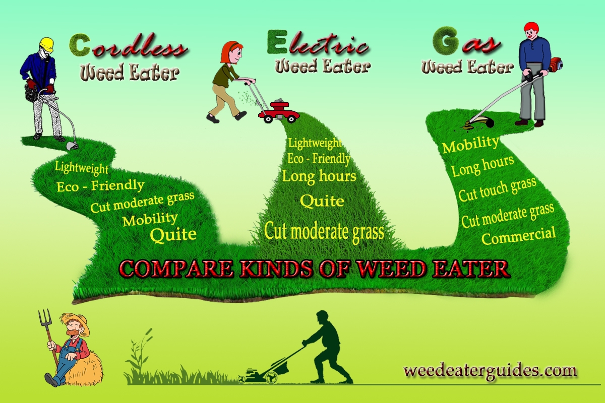 compare weedeater.jpg