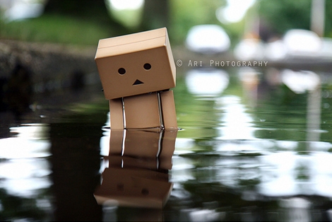 DanBo_008.jpg