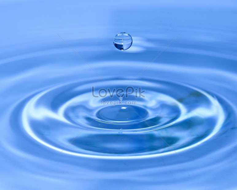 4136.jpg_wh860.jpg