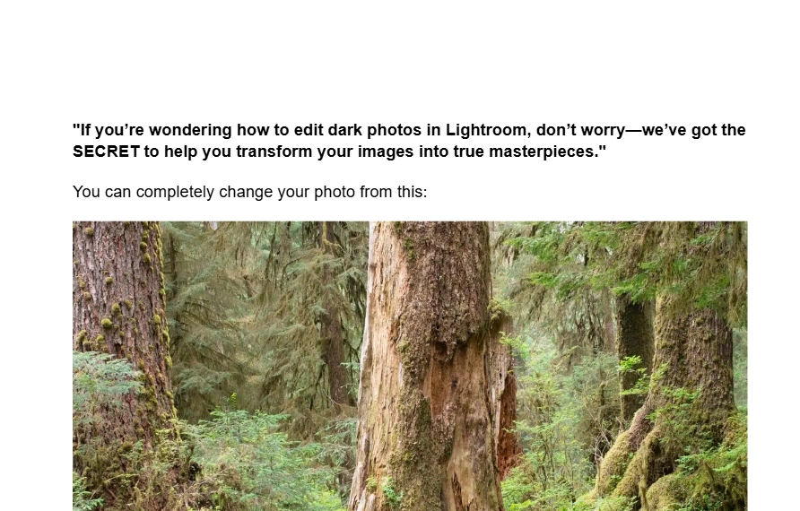 Screenshot 2024-11-19 140227.png