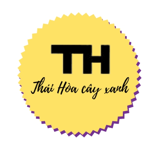 logo ch&egrave;n anh-video lớn.png