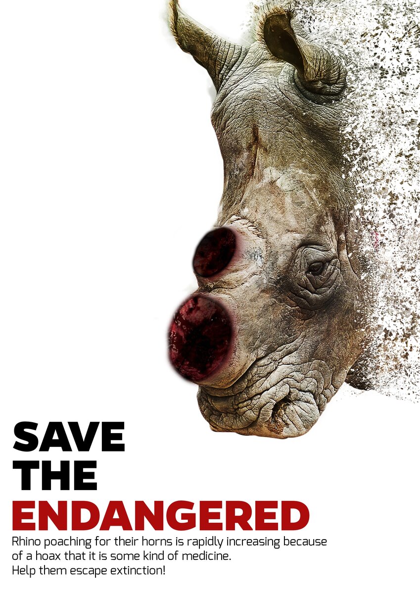 Rhino Poster.jpg