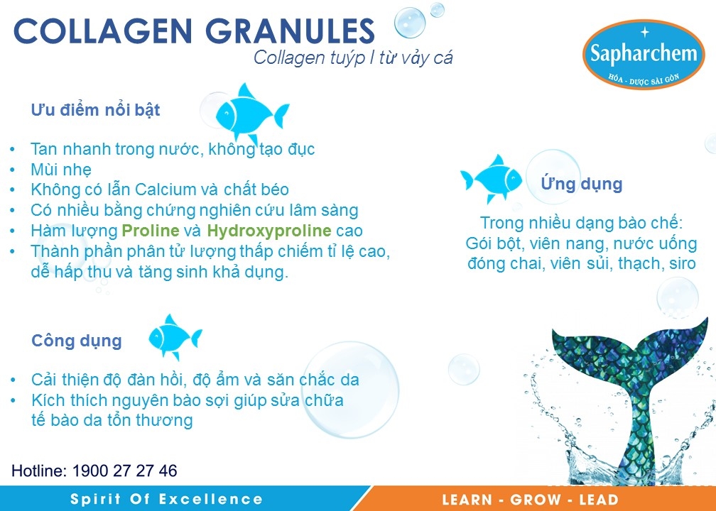 Collagen granules.jpg