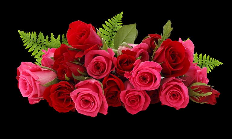 pngimg.com - rose_PNG67024.png