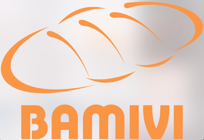 BAMIVI_Option_2.png