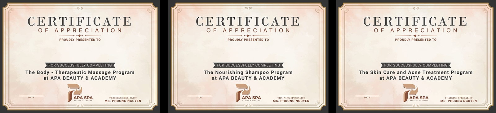 APS Certificate_English_in...png
