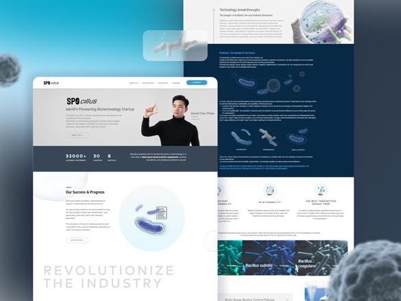 Spocillus-website.jpg