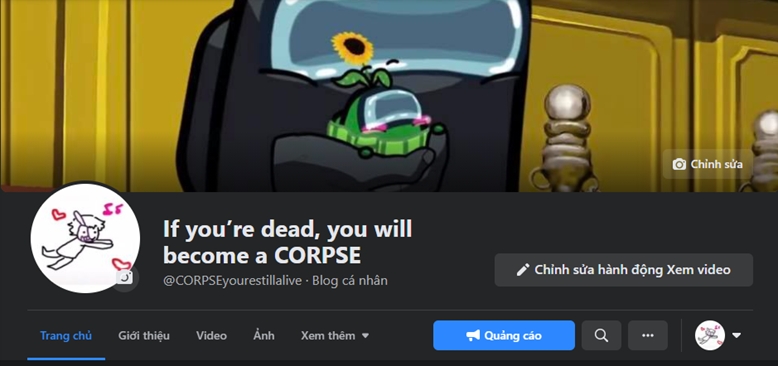 facebook fanpage & blog.png