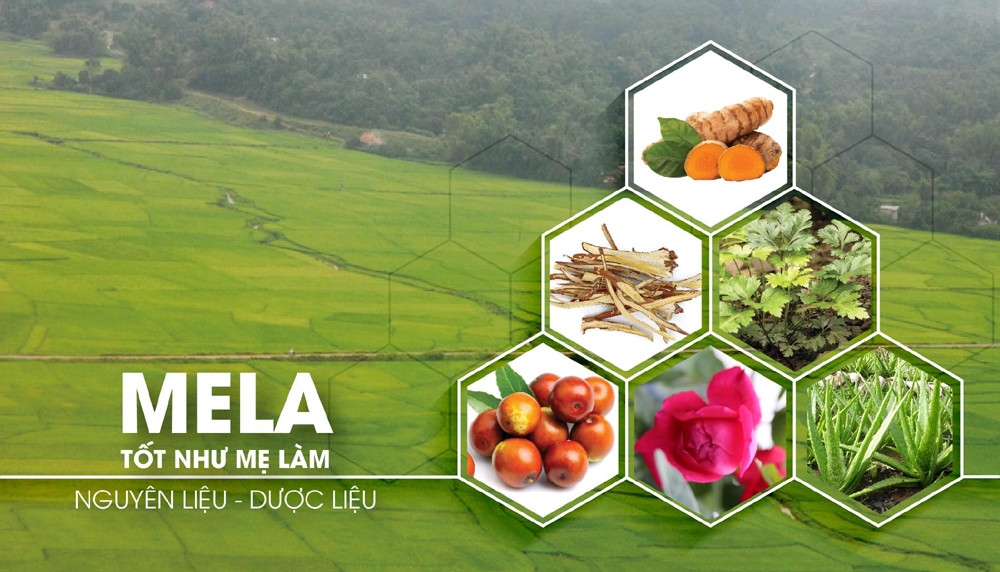 mela-2-288.jpg