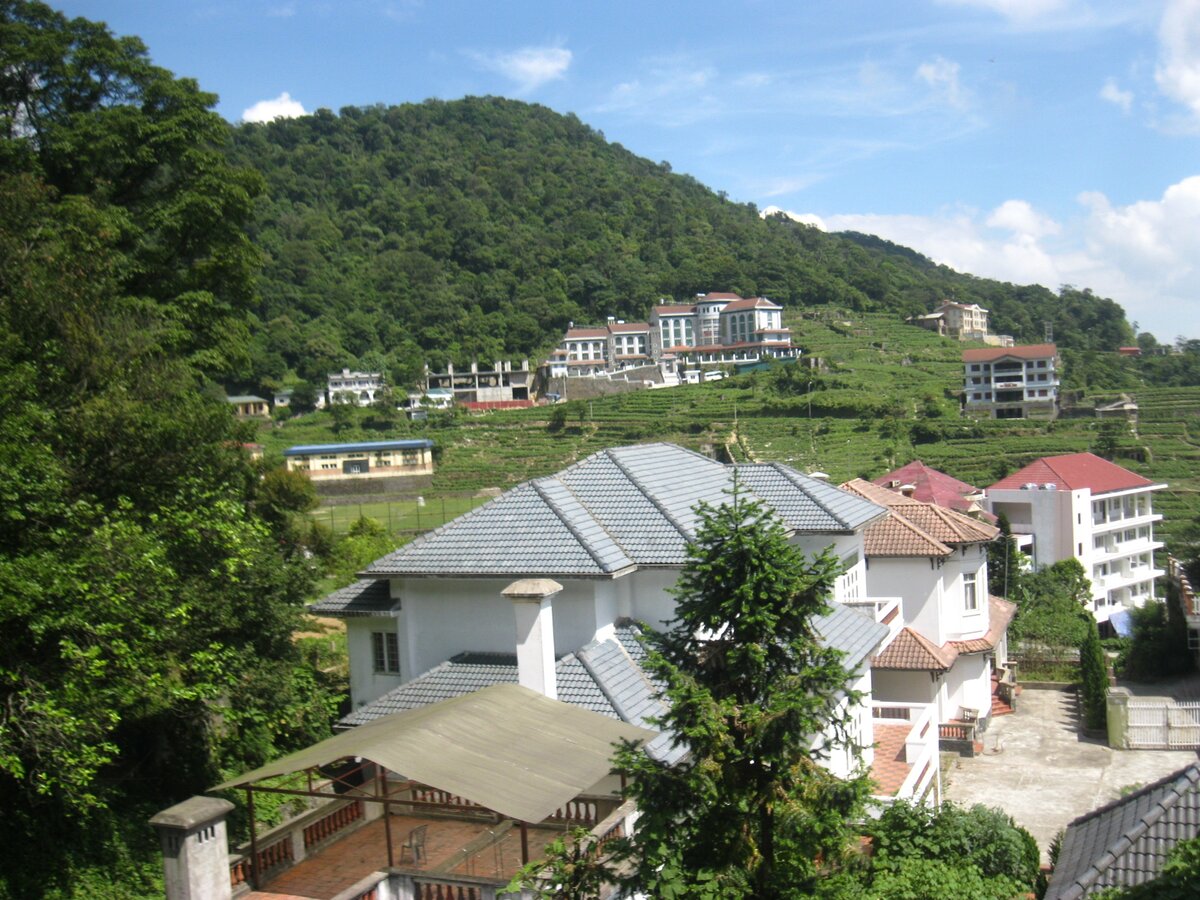 IMG_0001.JPG