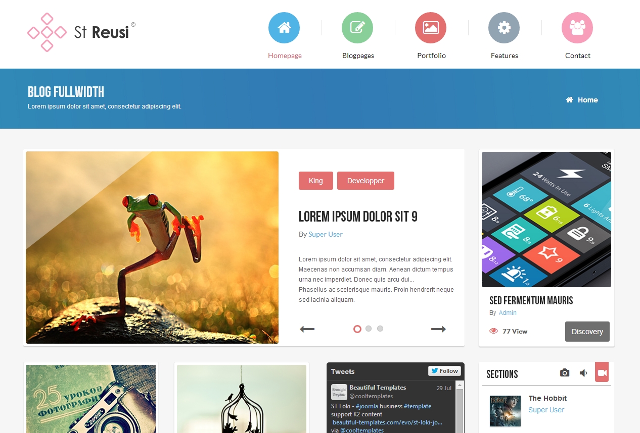 st-reusi-business-magazine-joomla-template.png