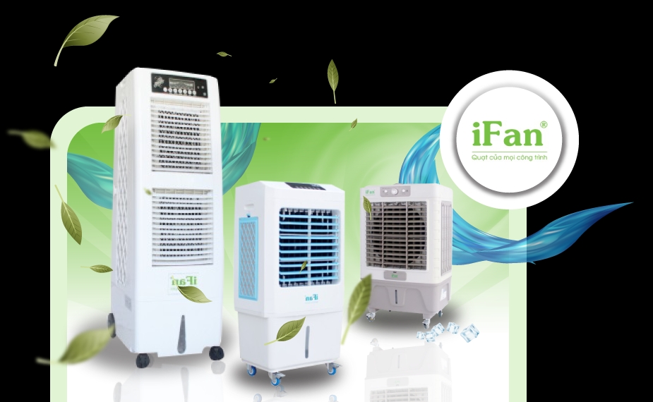 thiet-ke-website-ifan.png