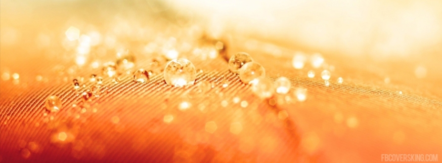 HD-rain-drops-facebook-cover.jpg