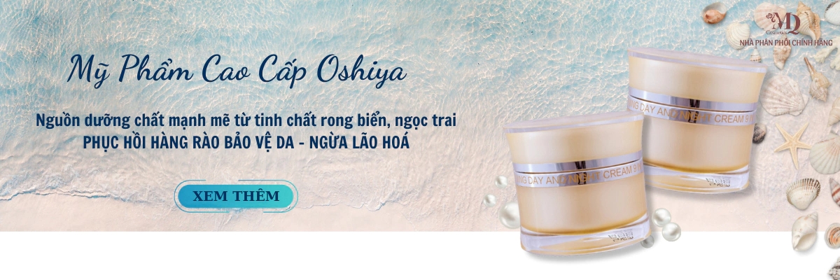 vn-11134210-7r98o-lqpz3lrlg2lz83.png