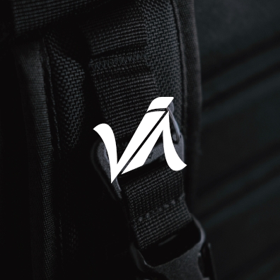 logo vavi.png