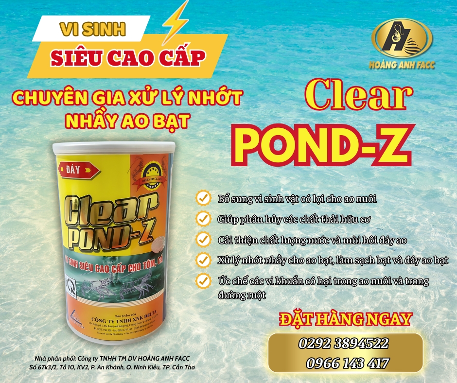 CLEAR POND-Z (HOANGANHFACC).png