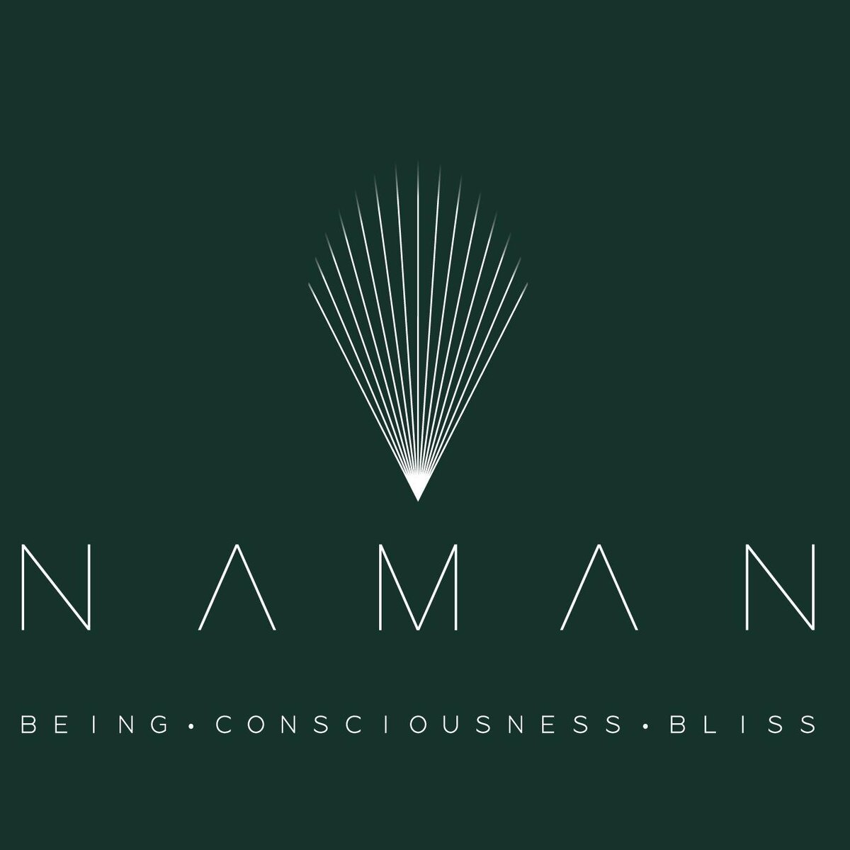Naman-Retreat-logo.jpg