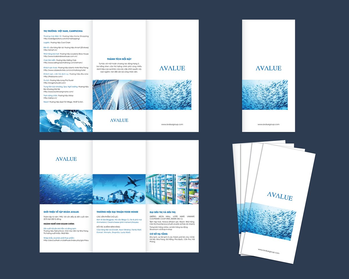 avalue brochure.jpg