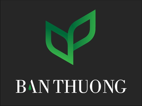 Asset 2BT (1).png