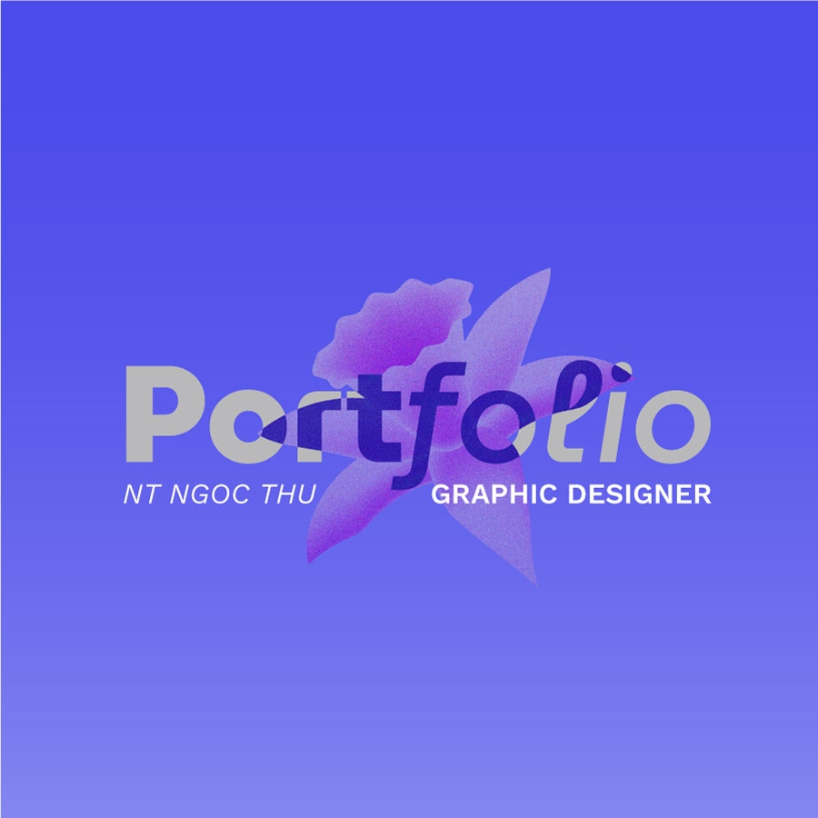 My-Portfolio.jpg