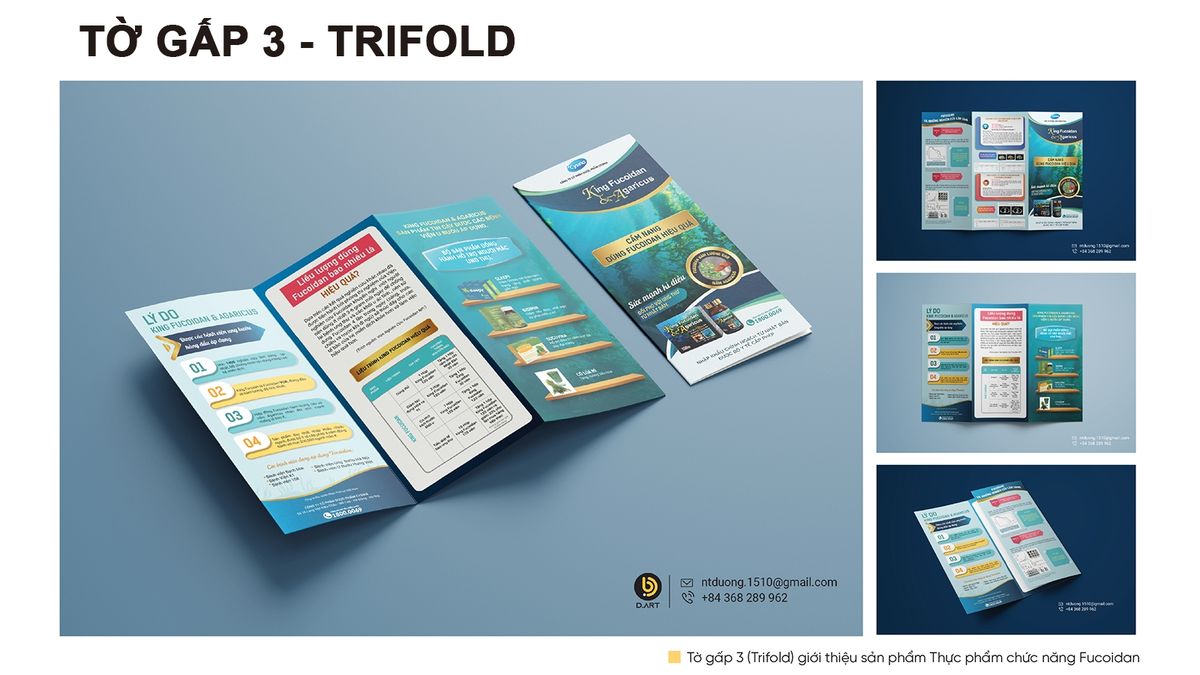 trifold.png