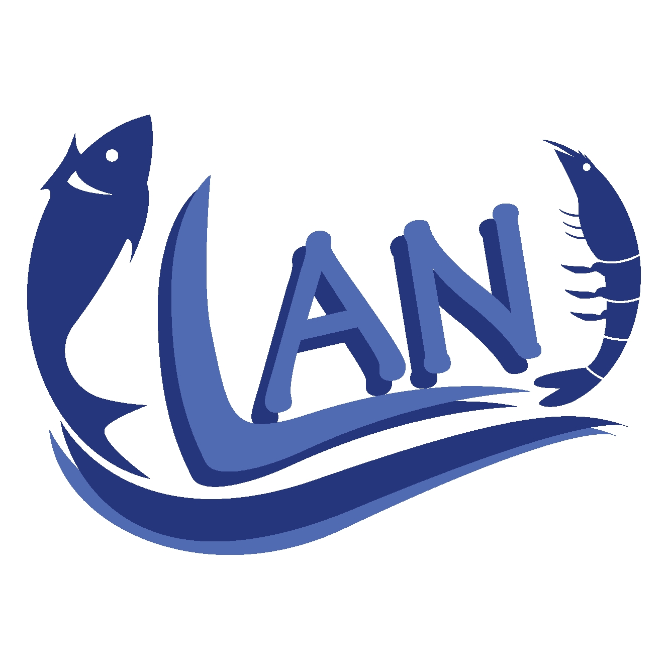LAN.png