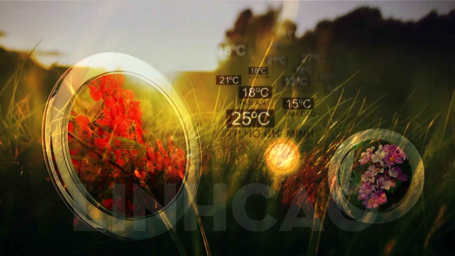 IDENTS - Weather - QPVN - 2013.00_00_03_05.Still001.jpg
