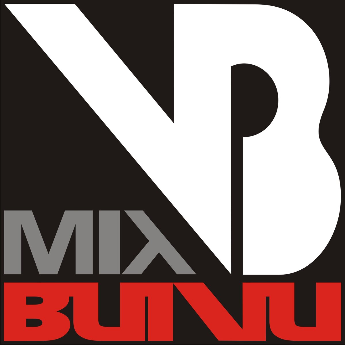 logo bui vu.jpg