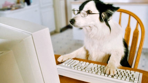 ComputerDog-3.jpg