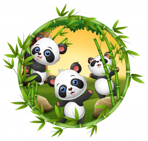 three-little-panda-are-playing-together_43633-3765.jpg