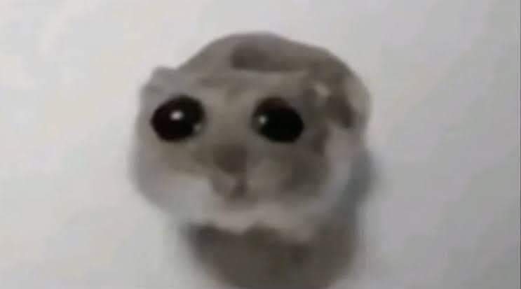 received_475475681471417.jpeg
