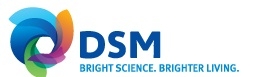 dsm.jpg