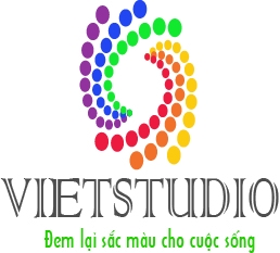 logo vietstudio.jpg