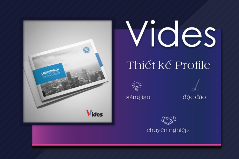 VIDES.png