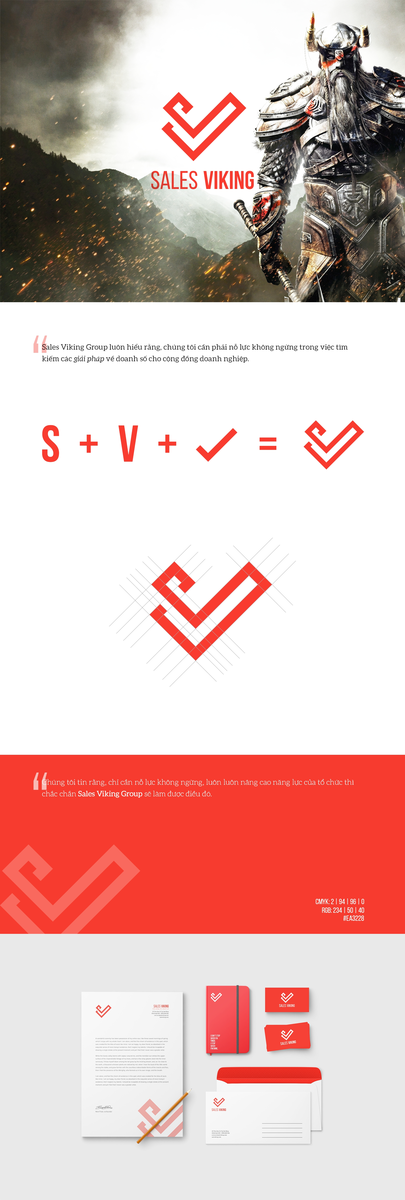ProjectWebsite-SalesViking.png