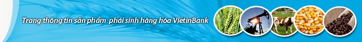 banner.png